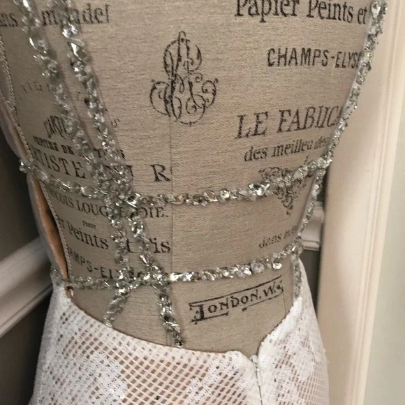 NEW JOVANI SZ 4 IVORY NUDE ILLUSION LACE BEADED FORMAL EVENING GOWN - Picture 9 of 16